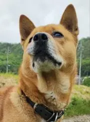 YOSHIの画像