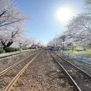 BANの画像
