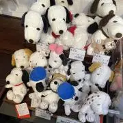 メープルの画像