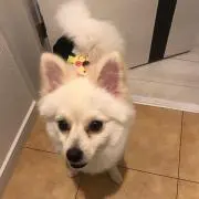 ちー