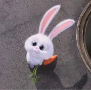 ☆まりもちゃん☆の画像