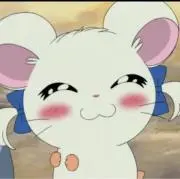 りぼんちゃんの画像