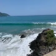sea & surfの画像