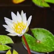あ