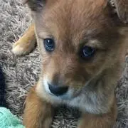 ケンの画像