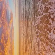 hyの画像