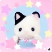 Ymの画像