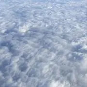 もみじの画像