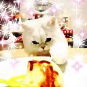 さわちゃん