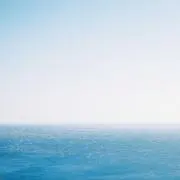 RAIの画像