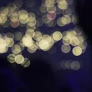 かねこ