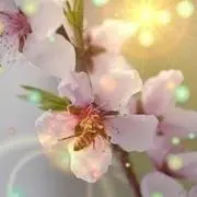 悠  ママ