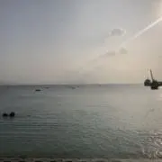 harumiの画像