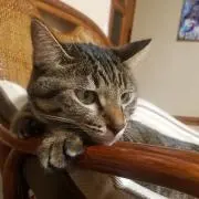 みいちゃん