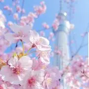 ♡笑顔になれる良いお品を♡の画像