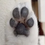 SUNMIの画像