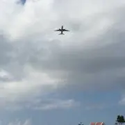 モモの画像