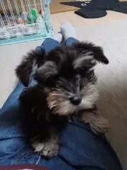 そうちゃんの画像