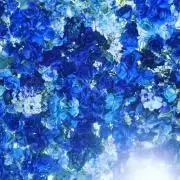 ジュリの画像