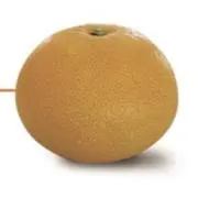 かなの画像