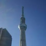 みのむし