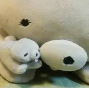 さくらもちの画像