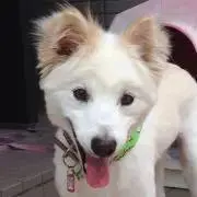 あんでぃの画像