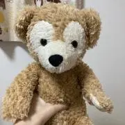 くまの画像