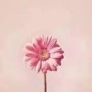 _123_456_の画像