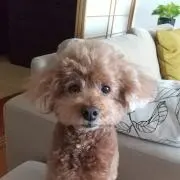 りっくの画像