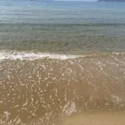 プーさんの画像