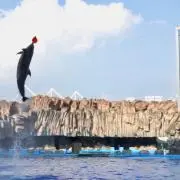まいめろ