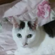 リっちゃんの画像
