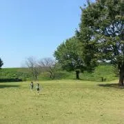 mikoの画像
