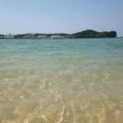 おさる