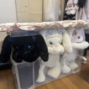 Abi 断捨離中の画像