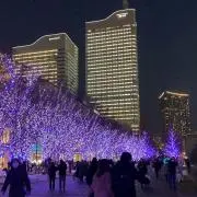 しーれの画像