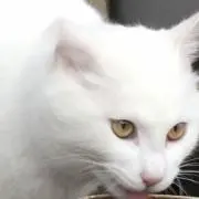 寝心地の画像