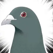 そーだの画像