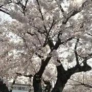 そーonG