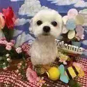 そら★16日までセール延長します★の画像
