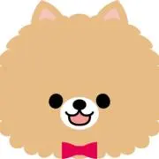 ちょこの画像