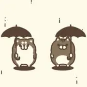 RUMMYの画像