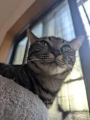 ジーターマンの画像