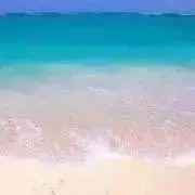 THの画像