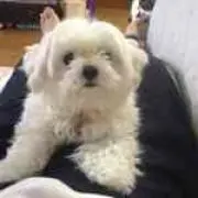 ゆうすけ　※交渉承ります