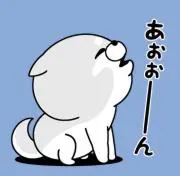 Tenn’s shopの画像