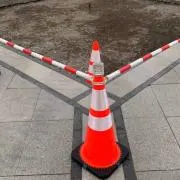 goosingの画像