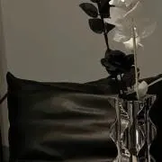 断捨離中 ჱ̒^_ _^ yの画像