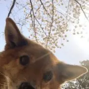 ヒロの画像